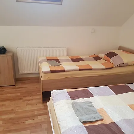 Ubytovani Zizkova Guest house *